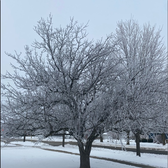 Meet your Posher, H - Picture 1 of 1